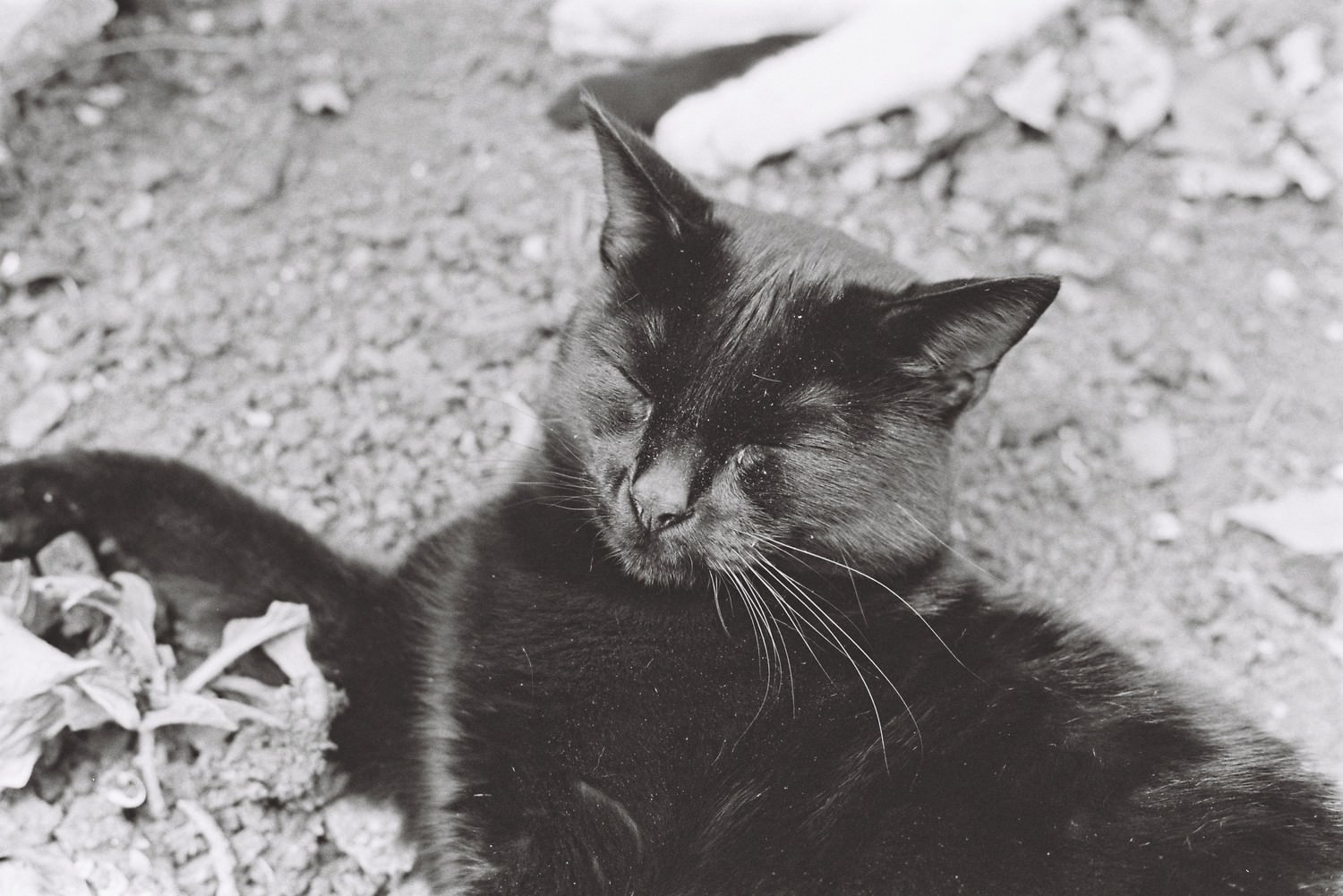 Adventures in 35mm film