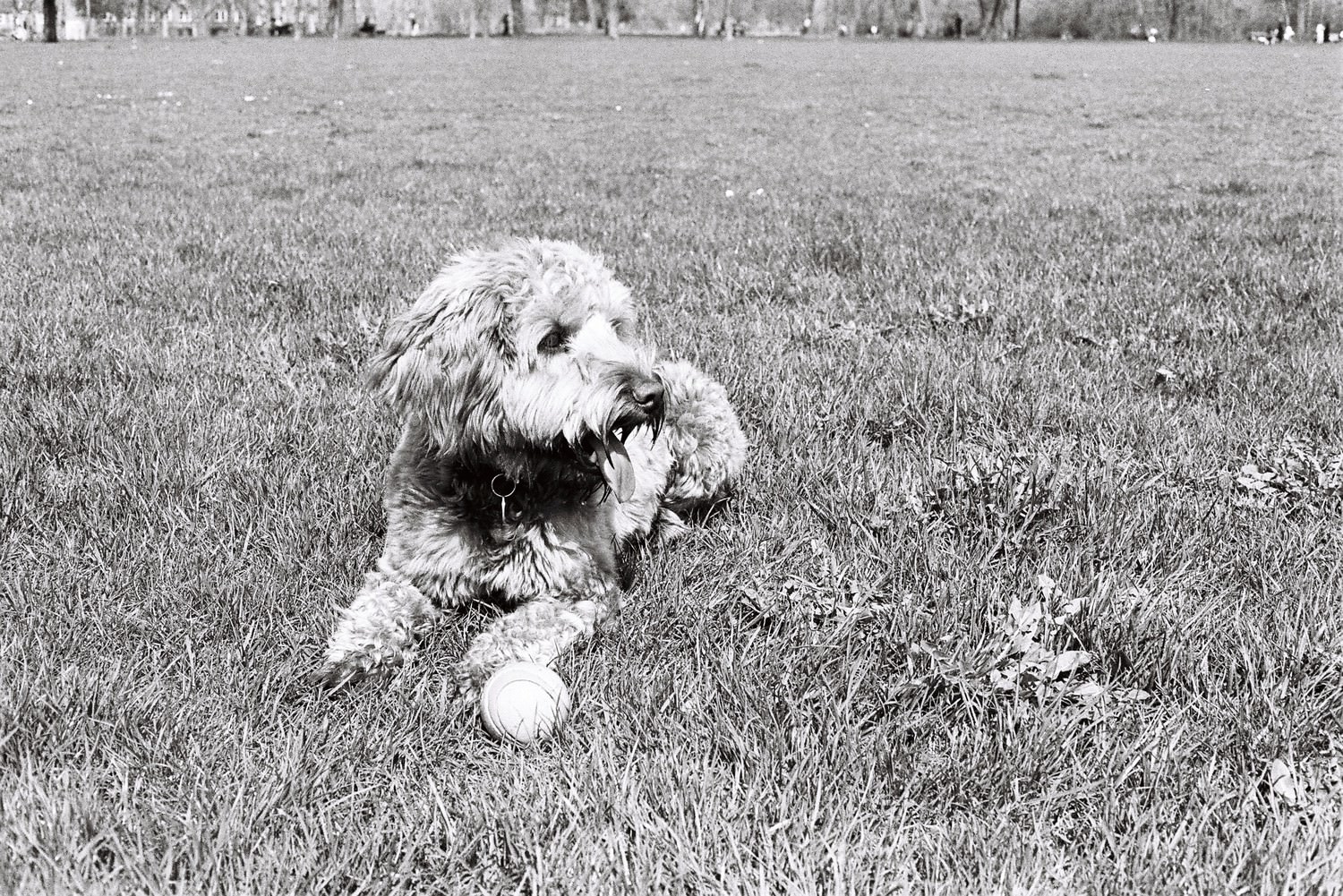 Adventures in 35mm film