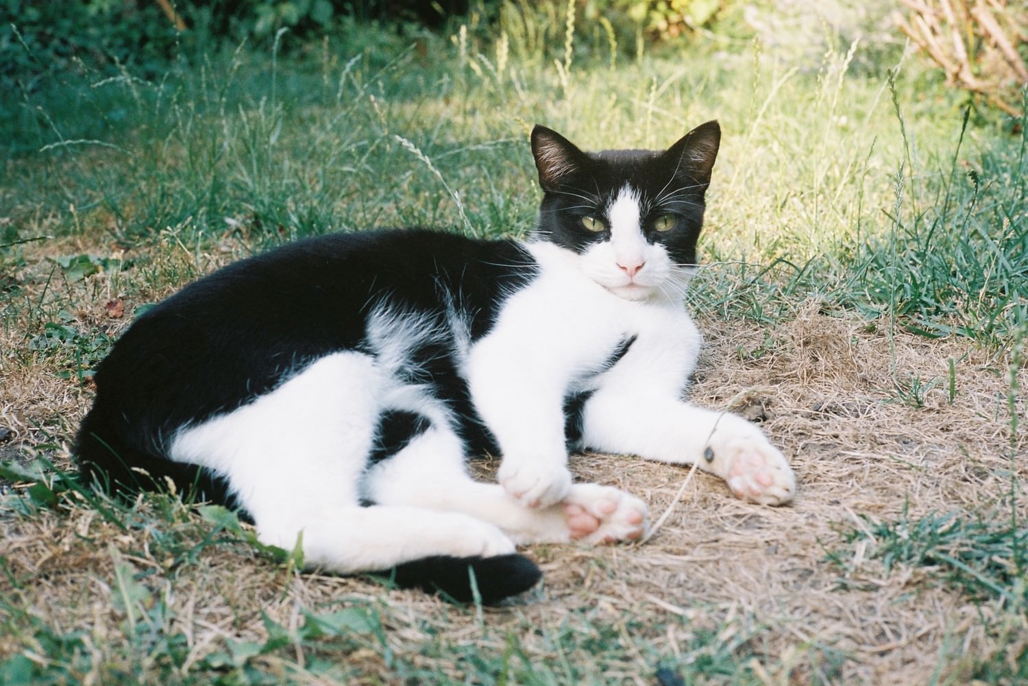 Adventures in 35mm film