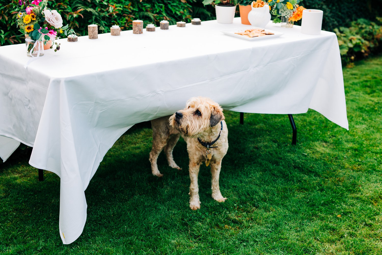 Relaxed Scottish Borders wedding photography near Edinburgh